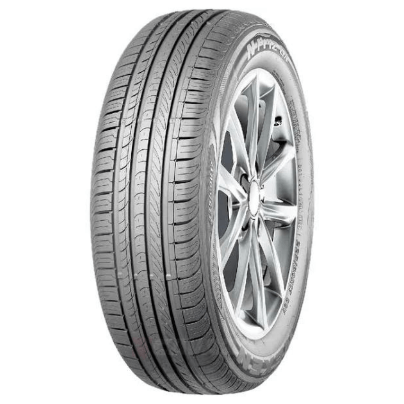 195651588219391V--1-2
