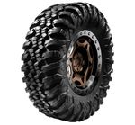 Forerunner-