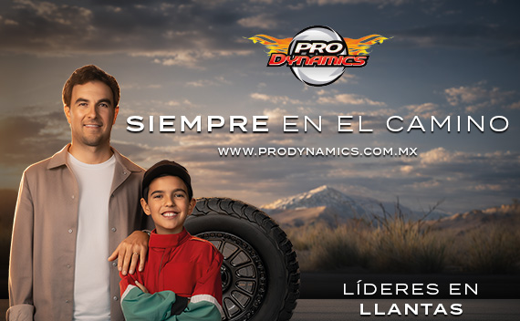 Siempre en el Camino